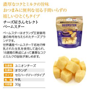 ポイント3倍 オランダ産 セミハードタイプ チ...の詳細画像1