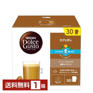 ネスカフェ　ドルチェ グスト レギュラーブレンド　30個入✖️4箱 ネスレ ネスカフェ ドルチェグスト専用カプセル レギュラー