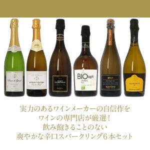 250円OFFクーポン 【21】スパークリング...の詳細画像2