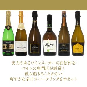 250円OFFクーポン 【21】スパークリング...の詳細画像2