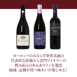 250円OFFクーポン 【7】赤ワインセット ...の詳細画像2
