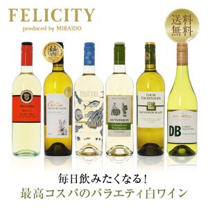 200円OFFクーポン 【11】白ワインセット 毎日飲みたい！最高コスパワイン バラエティ 白ワイン 6本セット 第20弾 750ml×6 送料無料 包装不可 飲み比べ