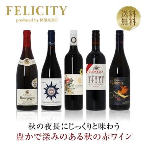 400円OFFクーポン 【1】赤ワインセット 季節と楽しむ 春の赤ワイン5本セット 第1弾 750ml×5 送料無料 包装不可  飲み比べ ワインセット｜e-felicity