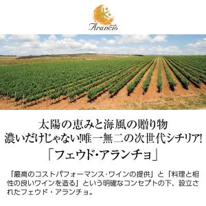 スパークリングワイン イタリア フェウド アラ...の詳細画像1