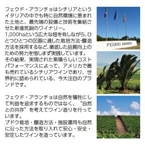 スパークリングワイン イタリア フェウド アラ...の詳細画像2