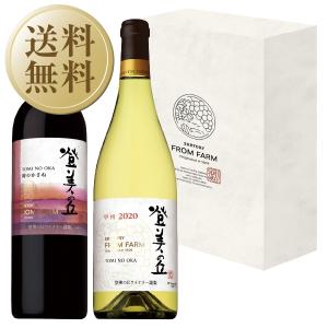 登美の丘 甲州 2020 数量限定生産品 登美の丘ワイナリー 自園産ぶどう