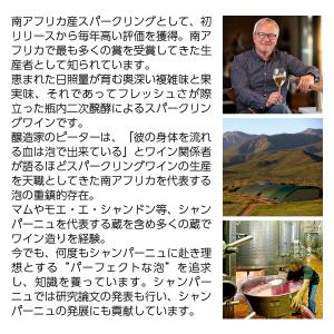 スパークリングワイン 南アフリカ グラハム ベ...の詳細画像2
