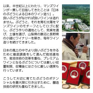 スパークリングワイン 国産 マンズワイン ゴー...の詳細画像2