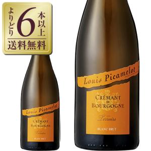 【2本セット】ランボルギーニ スプマンテ ブリュット プラチナ 750ml ランボルギーニ スプマンテ ブリュット プラチナ : 酒類ドットコム