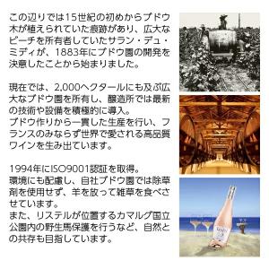 スパークリングワイン フランス リステル ペテ...の詳細画像2