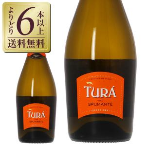 スパークリングワイン イタリア トゥラ スプマンテ エクストラ ドライ 750ml｜e-felicity