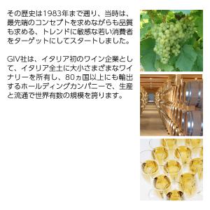 スパークリングワイン イタリア トゥラ スプマ...の詳細画像2