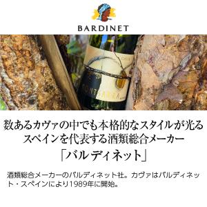 スパークリングワイン スペイン モンサラ カバ...の詳細画像1