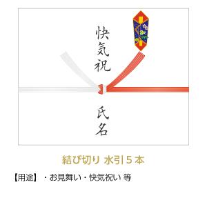 包装紙+のし掛け 【結び切り水引5本】 快気祝...の詳細画像4
