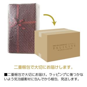 包装紙+のし掛け 【結び切り水引5本】 快気祝...の詳細画像5