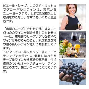 ノンアルコール ワイン ピッコロ ピエール ゼ...の詳細画像2