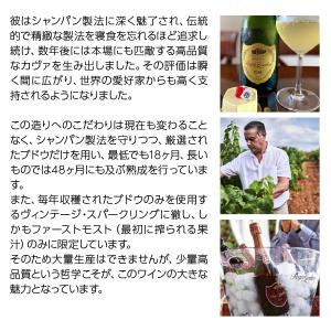 ロゼワイン スペイン ロジャーグラート カヴァ...の詳細画像2