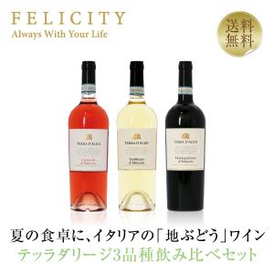 ワインセット テッラダリージ イタリアの「地ぶどう」を楽しむ赤・白・ロゼ 3本セット 750ml×3 送料無料 包装不可