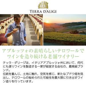 ワインセット テッラダリージ イタリアの「地ぶ...の詳細画像1