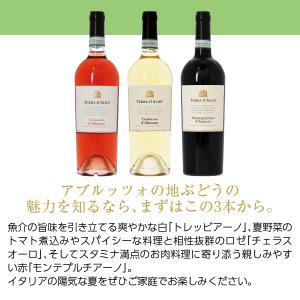 ワインセット テッラダリージ イタリアの「地ぶ...の詳細画像3