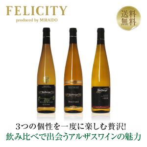 ワインセット フランス アルザスの魅力が詰まった ウルフベルジュ 白ワイン 3本セット 750ml×3 送料無料 包装不可 ワイン(750ml)9本まで同梱可