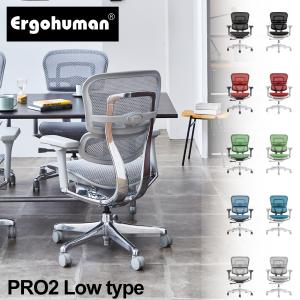 エルゴヒューマン（Ergohuman） ジャケットハンガー チェア背面に装着