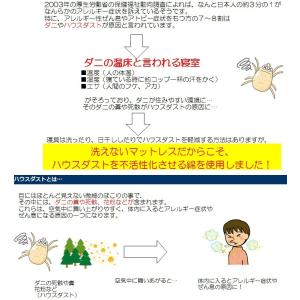 ドリームベッド ドリーミー212F1PNT ア...の詳細画像2