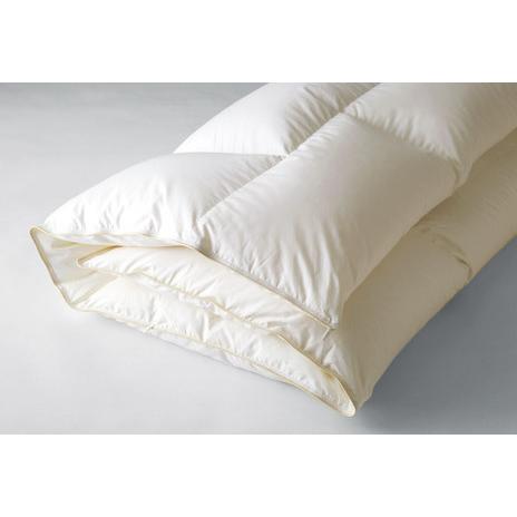 日本ベッド プレミアムフォーター95 羽毛布団 羽毛掛ふとん 温かい コンフォーター 掛け布団 クイ...