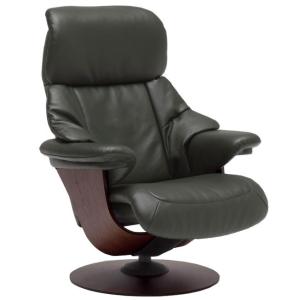 カリモク家具（KARIMOKU FURNITURE） カリモク ZE9120BR 肘掛椅子 1P