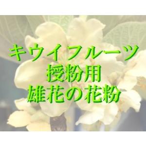 人工授粉用キウイ　花粉　1袋（郵便の速達でお送り致します。）