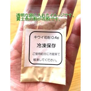 人工授粉用キウイ 花粉 1袋の詳細画像1