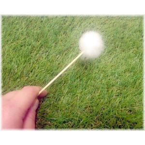 【速達発送】人工授粉用キウイ 花粉&ぼん天 1セットの詳細画像2