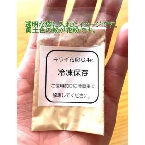 【速達発送】人工授粉用キウイ 花粉&ぼん天 1セットの詳細画像1