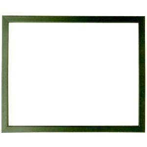 額縁 フレーム デッサン額縁 歩-7/グリーン インチサイズ（254×203mm）専用 前面ガラス仕様 大額｜e-frame