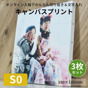 額縁専門店ないとう キャンバスプリント S10サイズ（530×530mm