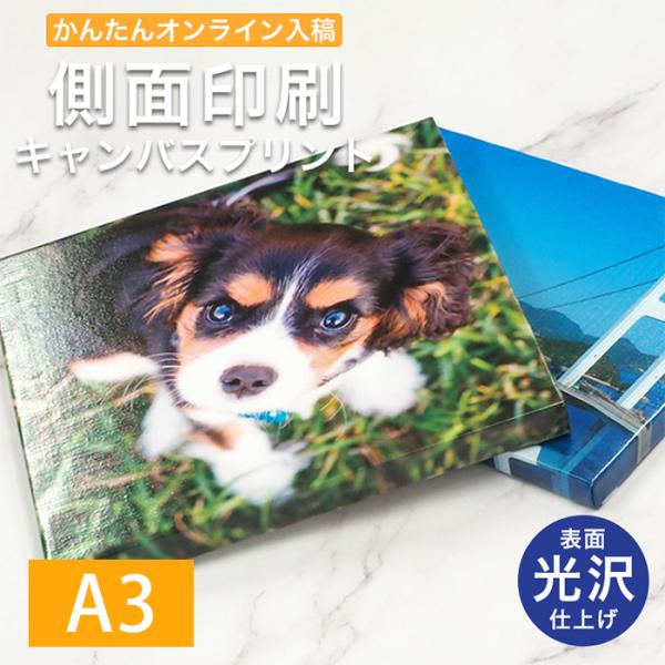 表面光沢仕上げ 側面印刷 キャンバスプリント A3サイズ（420×297mm）フォトパネル 無料文字...