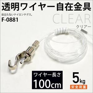 額吊 金具 ピクチャーレール用 ナイロンテグス自在（透明ワイヤー） 100cm F-0881 福井金属工芸｜e-frame