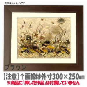 押し花額縁 130型/ブラウン 49額（485×395mm）【osbn-C】 ※特殊