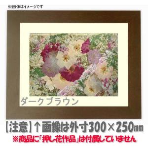 額縁専門店ないとう 押し花額縁 9386/ゴールド 18額（180×130mm