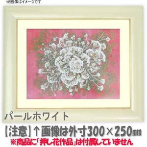 額縁専門店ないとう 押し花額縁 713/白 36額（360×290mm）【osbn-C