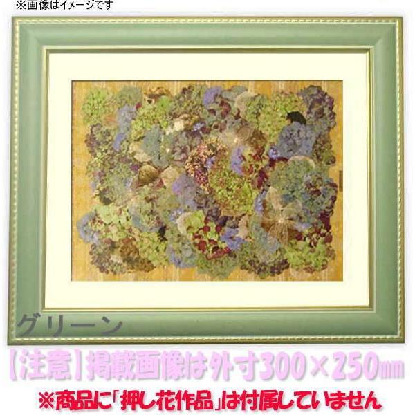 押し花用額縁 9614/グリーン 36額（360×290mm）【osbn-C】 ※特殊加工品につき注...