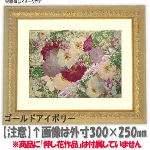 押し花用額縁 9569/Gアイボリー 49額（485×395mm）【osbn-C】 ※特殊加工品につき注文後のキャンセル・返品交換不可｜e-frame