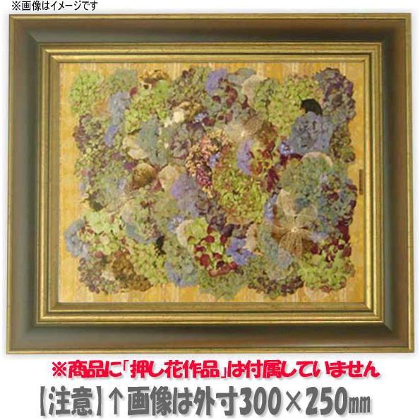 押し花用額縁 9573/Gブラウン 押し花8号（460×338mm）【osbn-A】 ※特殊加工品に...