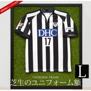 前開きタイプ ユニフォーム額縁 Lサイズ（収容寸法：1100×900×34mm