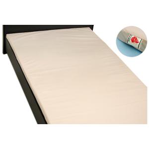 パラマウントベッド（PARAMOUNT BED） （代引き不可・個人宅限定