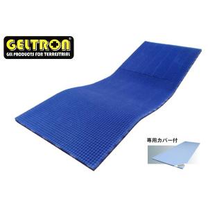 GELTRON ジェルトロン トップマットレス P-3｜e-futon