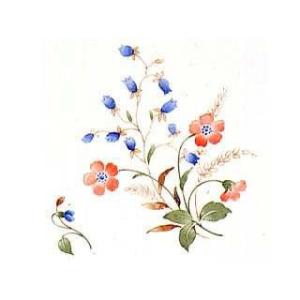 陶芸用品 / ふのり 100g : t0806003 : 陶芸ショップ.コム Yahoo!店 