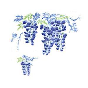 陶芸 転写紙|下絵用転写紙 U77の商品画像