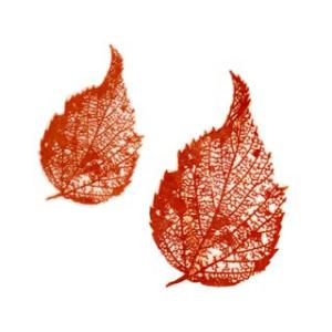 陶芸 下絵用転写紙 U85