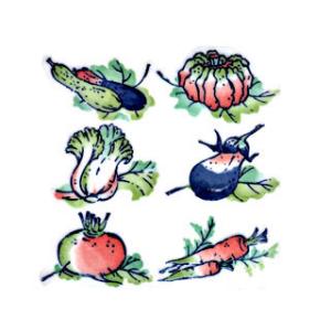 陶芸 下絵用転写紙 U90